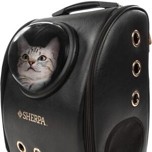 Black Cat Carrier Bubble Backpack